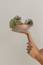 Lade das Bild in den Galerie-Viewer, THE NAKOA "ALORA" PASTA BOWL - SET OF 4 (Subconscious)
